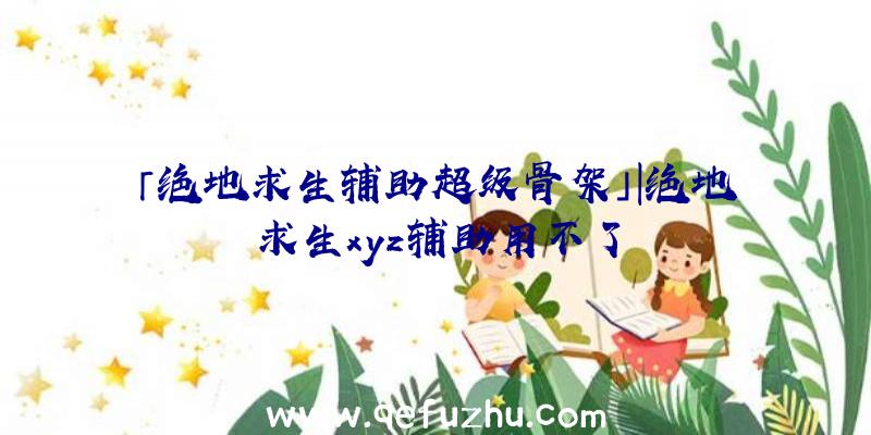 「绝地求生辅助超级骨架」|绝地求生xyz辅助用不了